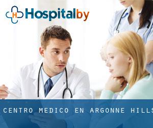 Centro médico en Argonne Hills