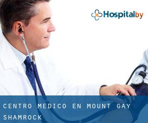 Centro médico en Mount Gay-Shamrock