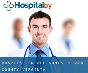 hospital en Allisonia (Pulaski County, Virginia)