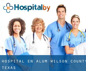 hospital en Alum (Wilson County, Texas)