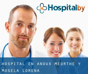 hospital en Anoux (Meurthe y Mosela, Lorena)