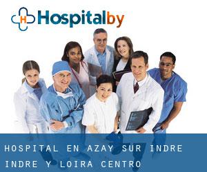 hospital en Azay-sur-Indre (Indre y Loira, Centro)