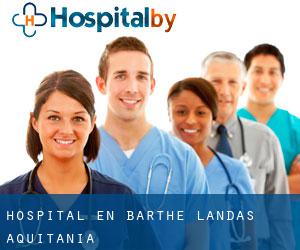 hospital en Barthe (Landas, Aquitania)