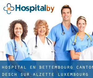 hospital en Bettembourg (Canton d'Esch-sur-Alzette, Luxembourg)