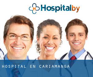 hospital en Cariamanga