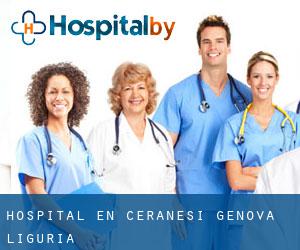 hospital en Ceranesi (Génova, Liguria)