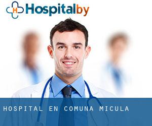 hospital en Comuna Micula