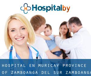 hospital en Muricay (Province of Zamboanga del Sur, Zamboanga Peninsula)