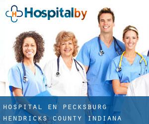 hospital en Pecksburg (Hendricks County, Indiana)