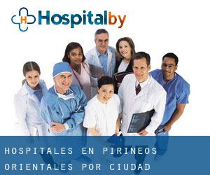 hospitales en Pirineos Orientales por ciudad importante - página 2