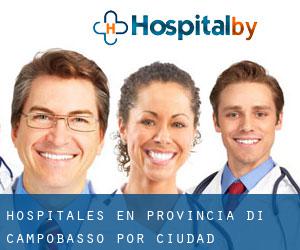 hospitales en Provincia di Campobasso por ciudad importante - página 1