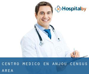 Centro médico en Anjou (census area)