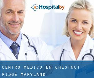 Centro médico en Chestnut Ridge (Maryland)