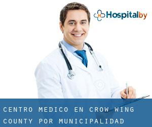 Centro médico en Crow Wing County por municipalidad - página 1