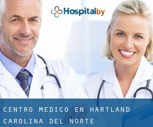Centro médico en Hartland (Carolina del Norte)