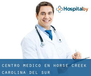 Centro médico en Horse Creek (Carolina del Sur)
