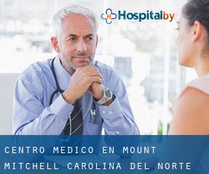 Centro médico en Mount Mitchell (Carolina del Norte)
