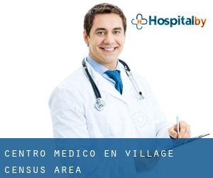 Centro médico en Village (census area)