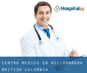 Centro médico en Willowbrook (British Columbia)