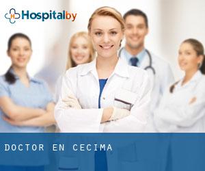 Doctor en Cecima