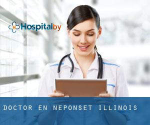 Doctor en Neponset (Illinois)