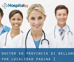 Doctor en Provincia di Belluno por localidad - página 1