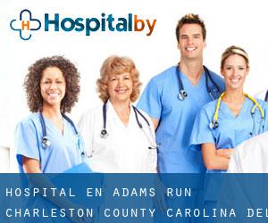 hospital en Adams Run (Charleston County, Carolina del Sur)