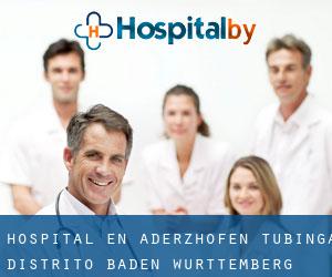 hospital en Aderzhofen (Tubinga Distrito, Baden-Württemberg)