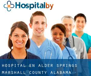 hospital en Alder Springs (Marshall County, Alabama)