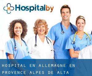 hospital en Allemagne-en-Provence (Alpes de Alta Provenza, Provenza-Alpes-Costa Azul)