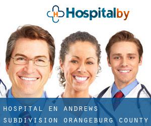 hospital en Andrews Subdivision (Orangeburg County, Carolina del Sur)