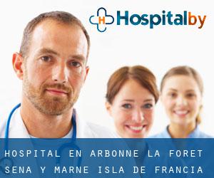hospital en Arbonne-la-Forêt (Sena y Marne, Isla de Francia)