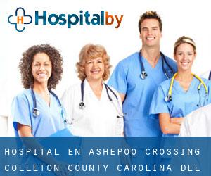 hospital en Ashepoo Crossing (Colleton County, Carolina del Sur)