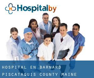 hospital en Barnard (Piscataquis County, Maine)