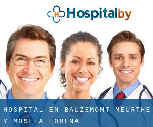 hospital en Bauzemont (Meurthe y Mosela, Lorena)