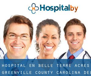 hospital en Belle Terre Acres (Greenville County, Carolina del Sur)