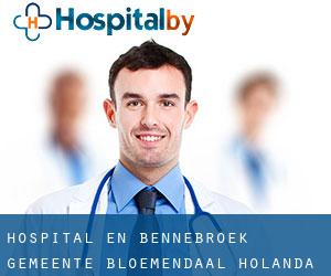 hospital en Bennebroek (Gemeente Bloemendaal, Holanda Septentrional)