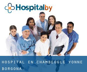 hospital en Chambeugle (Yonne, Borgoña)
