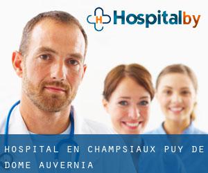 hospital en Champsiaux (Puy de Dome, Auvernia)