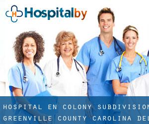 hospital en Colony Subdivision (Greenville County, Carolina del Sur)