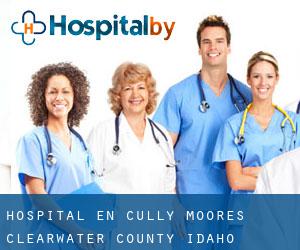 hospital en Cully Moores (Clearwater County, Idaho)