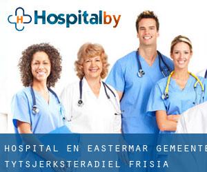 hospital en Eastermar (Gemeente Tytsjerksteradiel, Frisia)