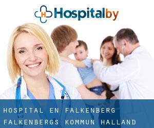 hospital en Falkenberg (Falkenbergs Kommun, Halland)