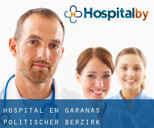 hospital en Garanas (Politischer Berzirk Deutschlandsberg, Styria)