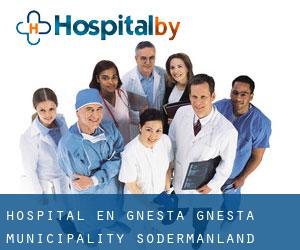 hospital en Gnesta (Gnesta Municipality, Södermanland)