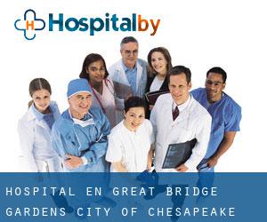 hospital en Great Bridge Gardens (City of Chesapeake, Virginia)
