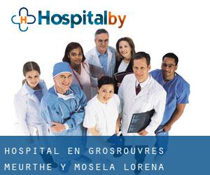 hospital en Grosrouvres (Meurthe y Mosela, Lorena)