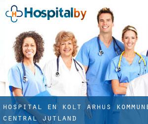 hospital en Kolt (Århus Kommune, Central Jutland)