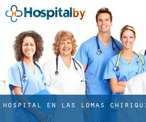 hospital en Las Lomas (Chiriquí)