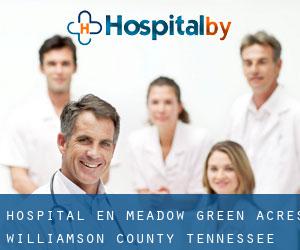 hospital en Meadow Green Acres (Williamson County, Tennessee)